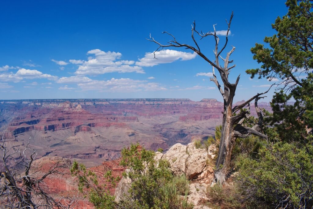 Grand Canyon