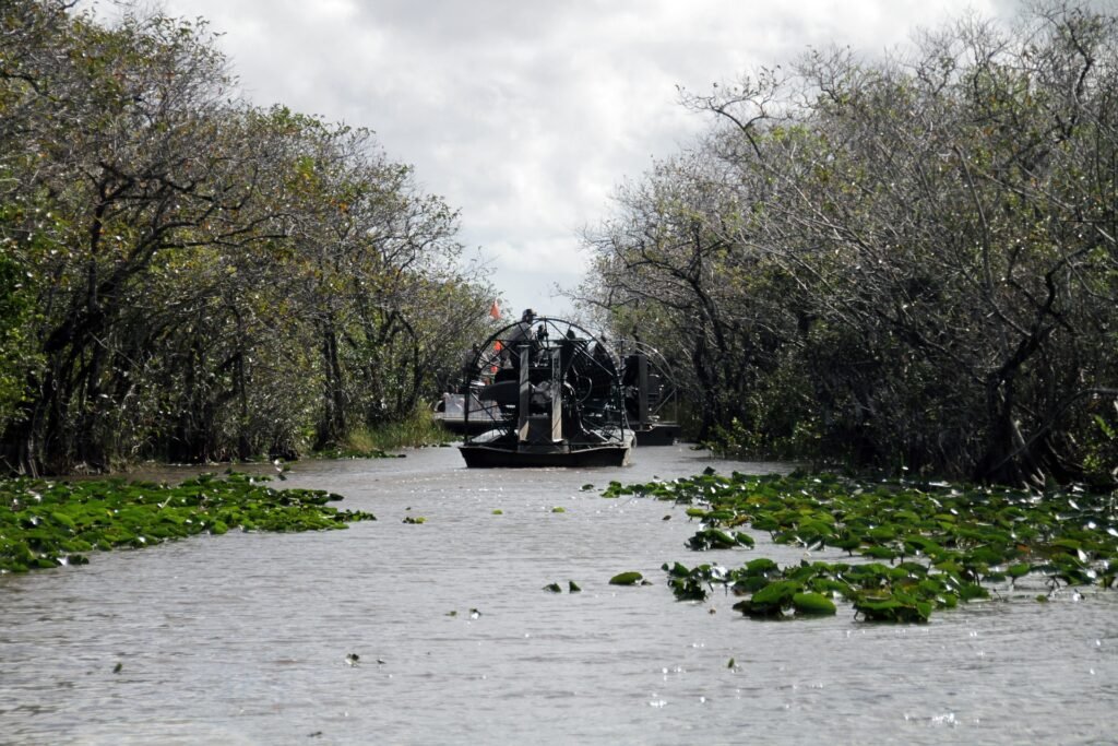 Exploring Miami: Everglades trip