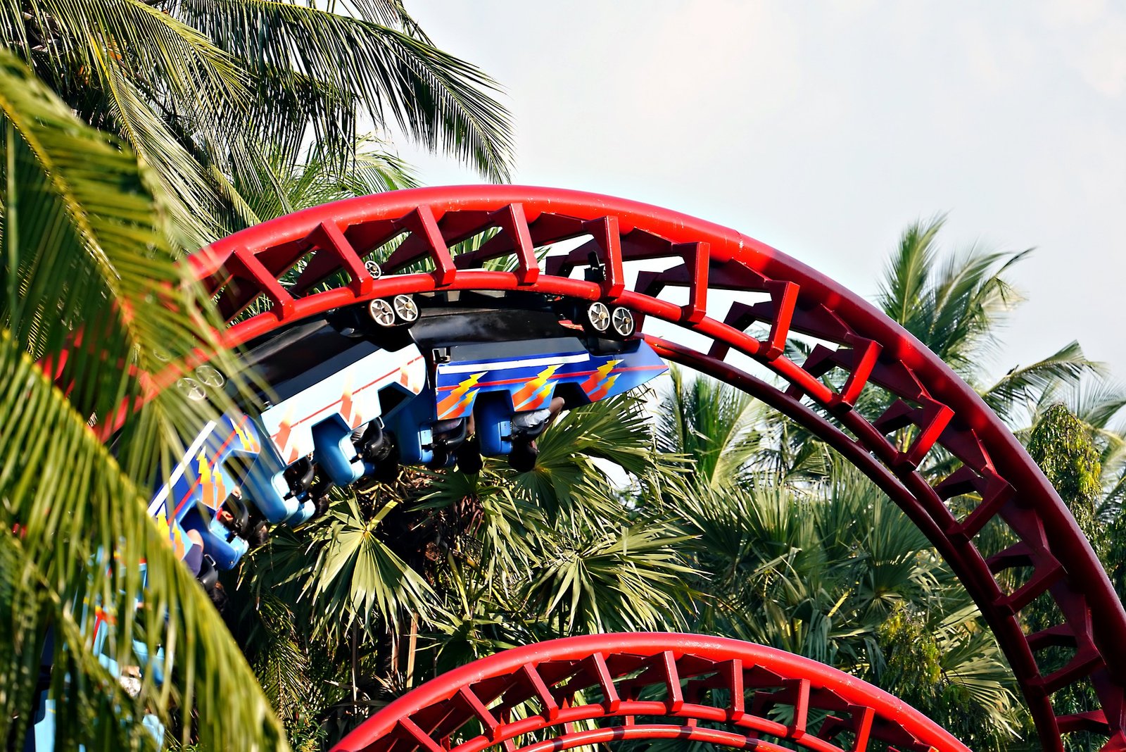Theme Park Adventure: Maximizing Your Fun - Life's Exploration